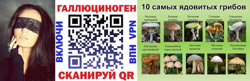 ссылка на мегу как зайти Тара Галлюциногенные грибы Psilocybine cubensis даркнет сайт